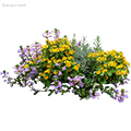 Готовые Решения Ярких Клумб - Dolinasad.by