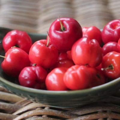 Вишня Барбадосская Вишня Барбадосская - Dolina-Sad.Ru