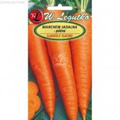 Морковь Флаккезе 2 (Польша) Морковь Флаккезе 2 (Польша) фото