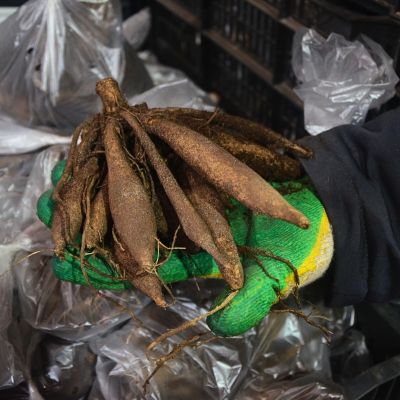 Георгина Бридж Вью Алоха Георгина Бридж Вью Алоха - Dolina-Sad.Ru