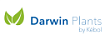 Darwin Plants (Голландия)